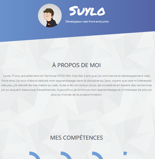 Website Suylo